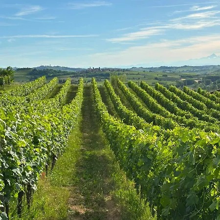 Tenuta Ena * Nizza Monferrato
