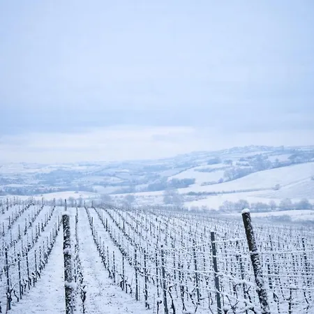 Tenuta Ena