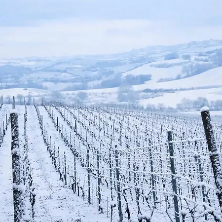 Tenuta Ena Nizza Monferrato